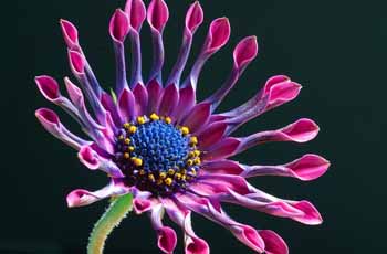 激活平台正规的ddos在线网页端