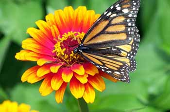 网站攻击软件工具