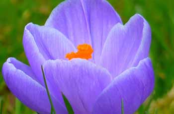 ddos攻击ip软件下载