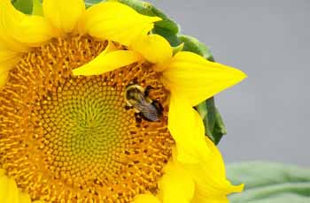 ddos攻击防御手段