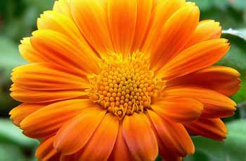 ddos攻击防御手段